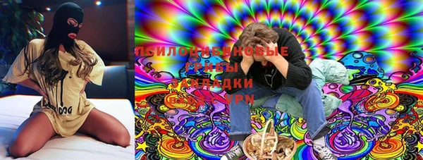 бошки Заводоуковск