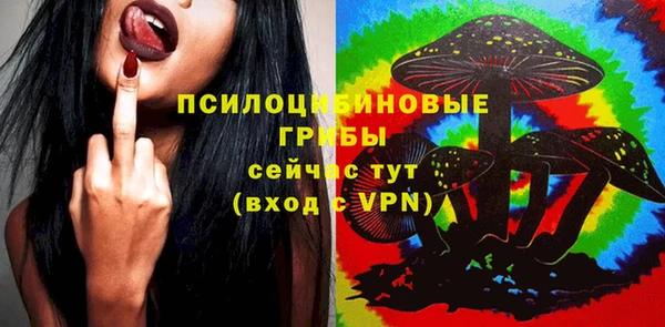 бошки Зеленодольск