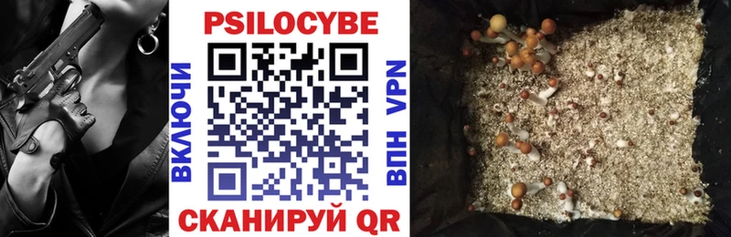 Псилоцибиновые грибы Psilocybe  Злынка 